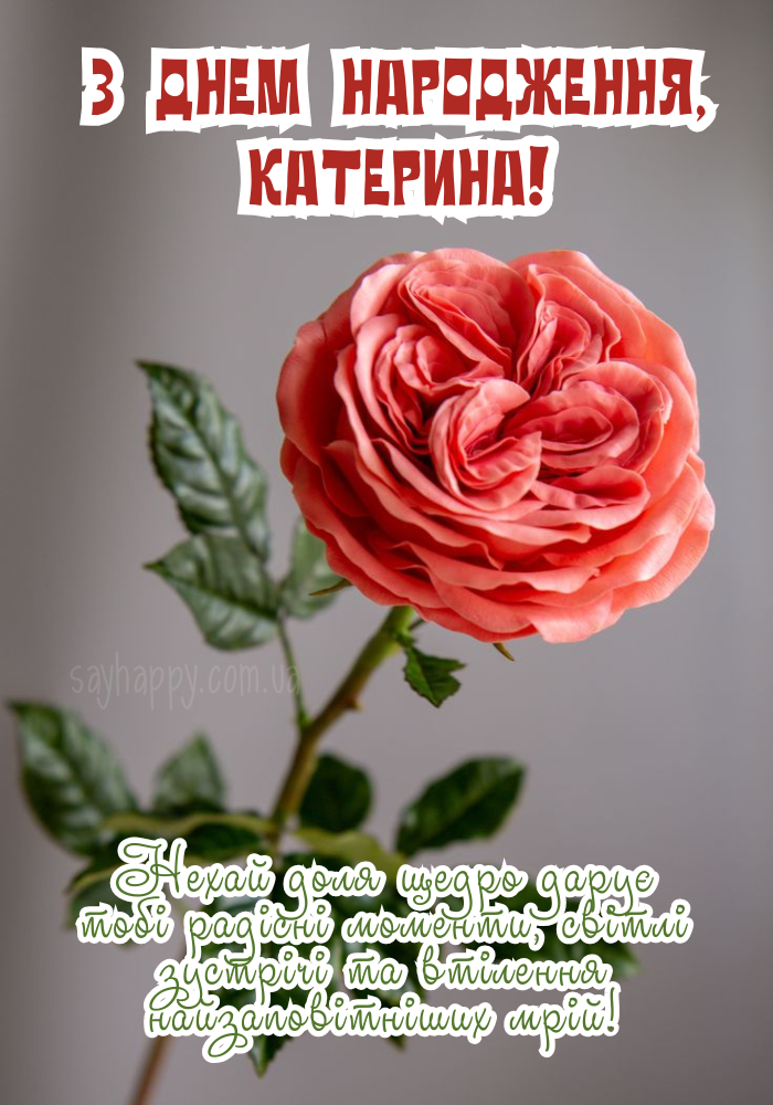 З Днем Народження Катя картинка листівка