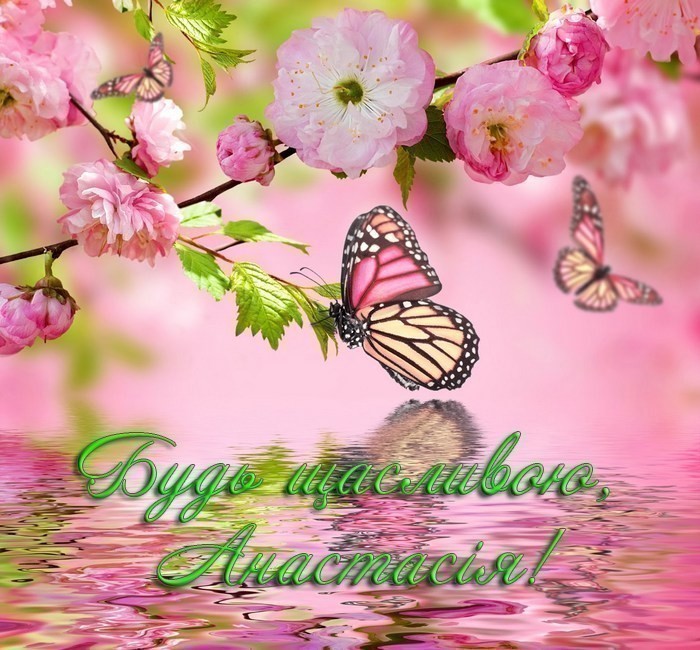 З Днем Народження Анастасія(Настя) картинка