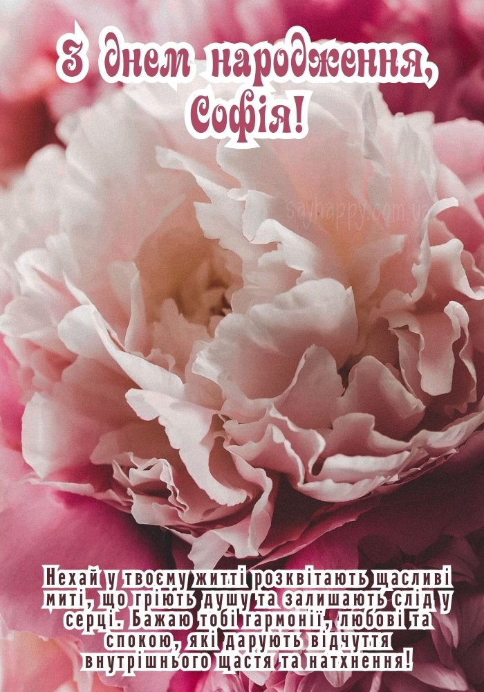 Картинка з Днем Народження Софії