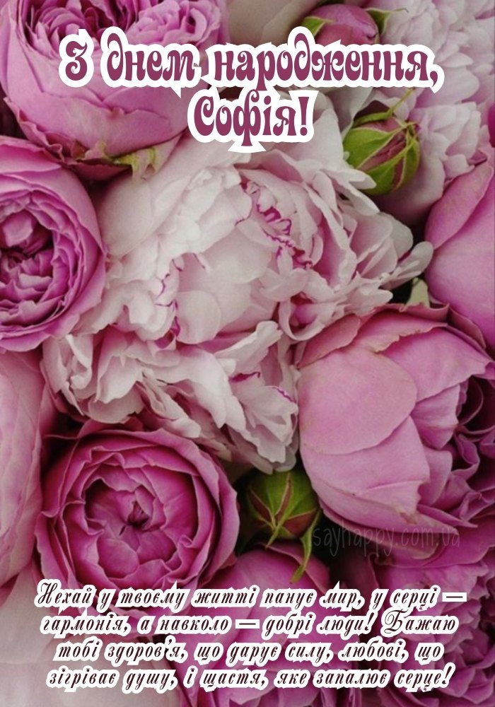 Картинка з Днем Народження Софії