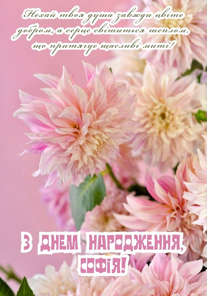 Картинка з Днем Народження Софії