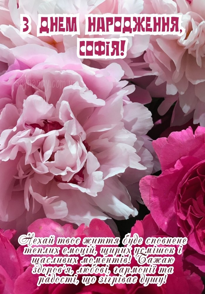 Картинка з Днем Народження Софії