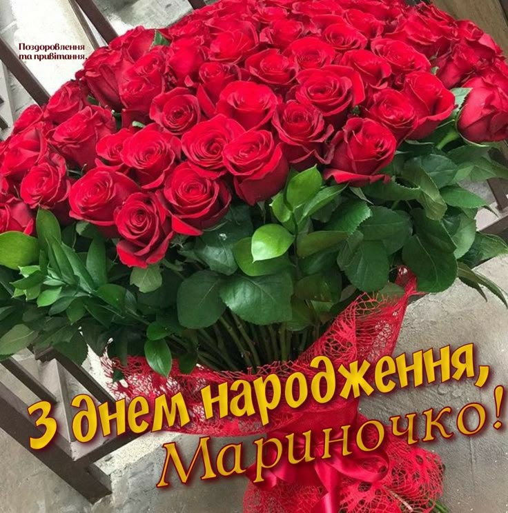 З Днем Народження Марина картинка листівка