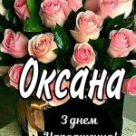 З Днем Народження Оксана картинка листівка