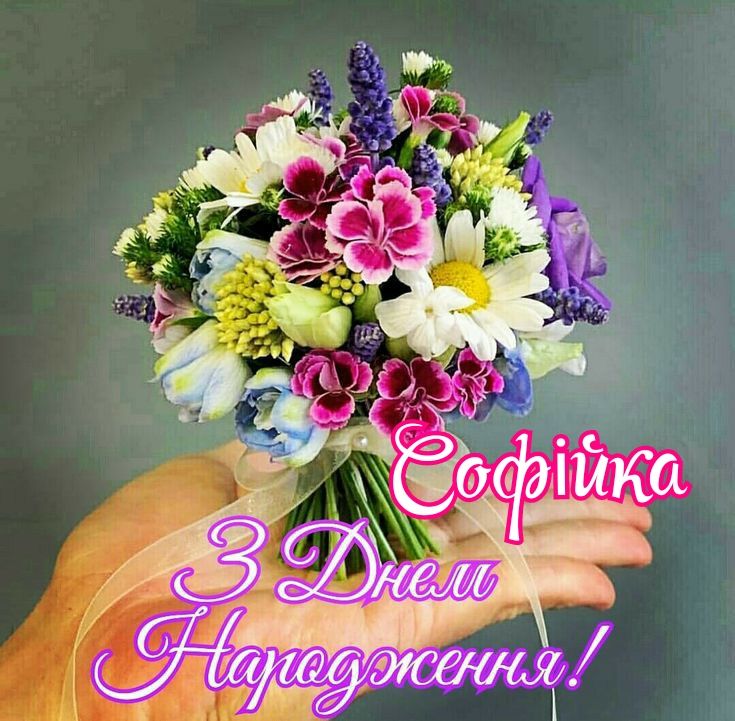 Картинка з Днем Народження Софії