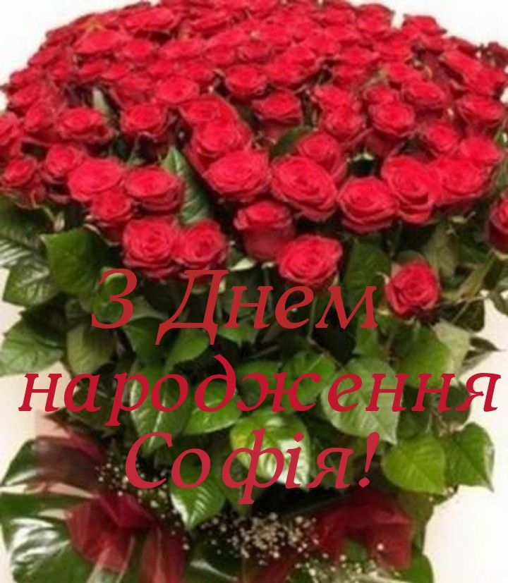 Картинка з Днем Народження Софії