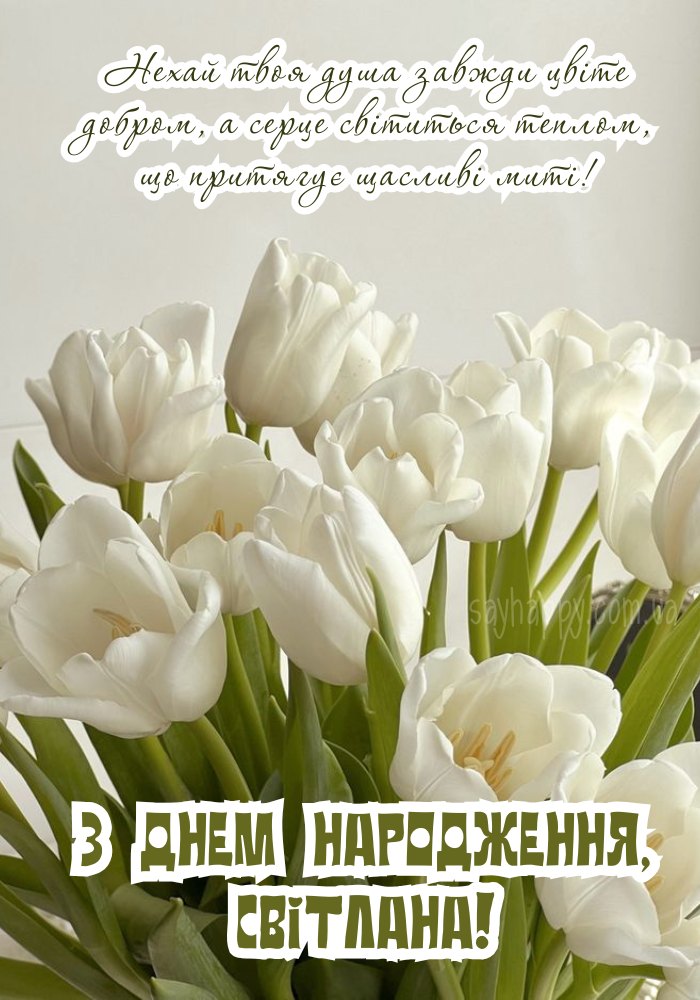картинка листівка з днем народження Світланко
