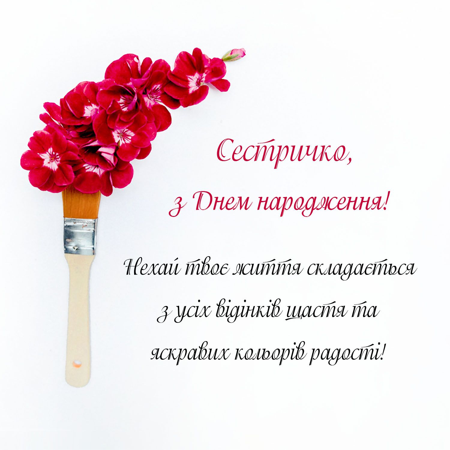 з днем народження сестра картинка листівка